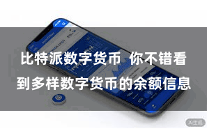 比特派数字货币 你不错看到多样数字货币的余额信息