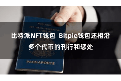 比特派NFT钱包 Bitpie钱包还相沿多个代币的刊行和惩处