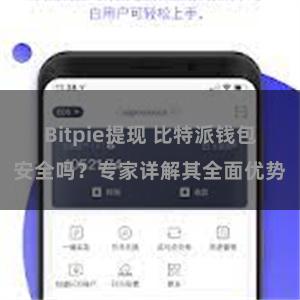 Bitpie提现 比特派钱包安全吗？专家详解其全面优势