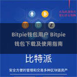 Bitpie钱包用户 Bitpie钱包下载及使用指南