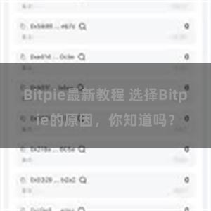 Bitpie最新教程 选择Bitpie的原因，你知道吗？