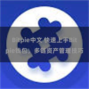 Bitpie中文 快速上手Bitpie钱包，多链资产管理技巧