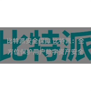 比特派安全保障 比特派：全方位保护用户数字资产安全