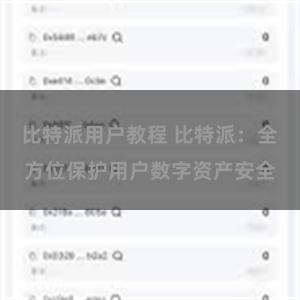 比特派用户教程 比特派：全方位保护用户数字资产安全