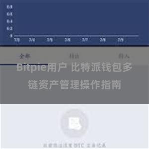 Bitpie用户 比特派钱包多链资产管理操作指南