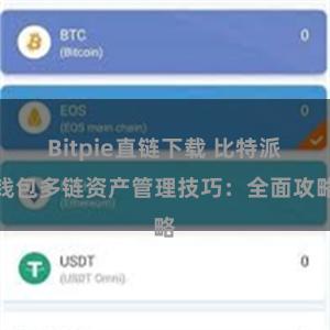 Bitpie直链下载 比特派钱包多链资产管理技巧：全面攻略