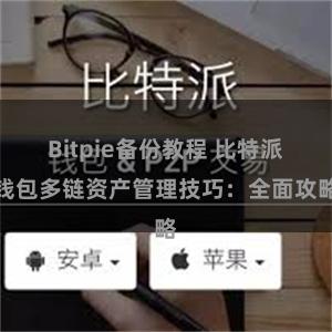 Bitpie备份教程 比特派钱包多链资产管理技巧：全面攻略