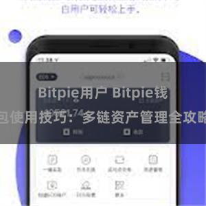 Bitpie用户 Bitpie钱包使用技巧：多链资产管理全攻略