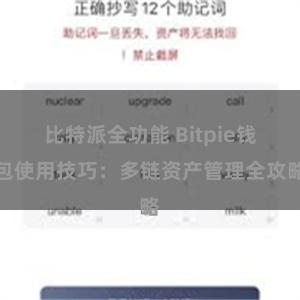 比特派全功能 Bitpie钱包使用技巧：多链资产管理全攻略