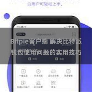 Bitpie客户端 解决比特派钱包使用问题的实用技巧