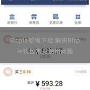 Bitpie教程下载 解决Bitpie钱包常见使用问题