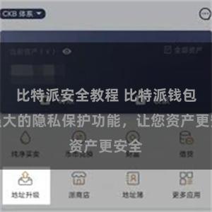 比特派安全教程 比特派钱包：强大的隐私保护功能，让您资产更安全