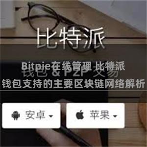 Bitpie在线管理 比特派钱包支持的主要区块链网络解析