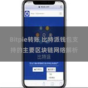 Bitpie转账 比特派钱包支持的主要区块链网络解析