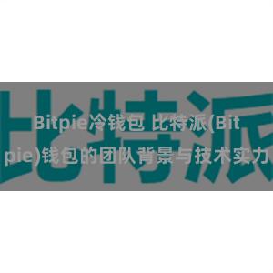 Bitpie冷钱包 比特派(Bitpie)钱包的团队背景与技术实力