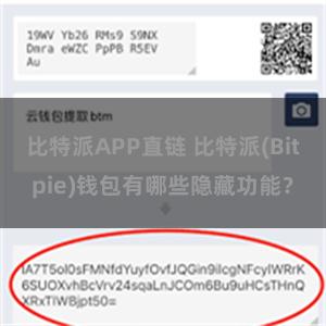 比特派APP直链 比特派(Bitpie)钱包有哪些隐藏功能？