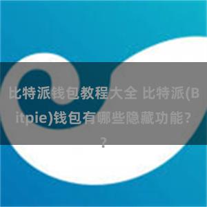 比特派钱包教程大全 比特派(Bitpie)钱包有哪些隐藏功能？