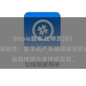 Bitpie版本 比特派(Bitpie)钱包市场趋势：数字资产存储领域领先者持续发展。