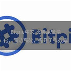 Bitpie中文 比特派轻量化，简洁高效，提升工作效率