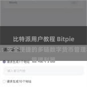 比特派用户教程 Bitpie钱包：安全便捷的多链数字货币管理利器