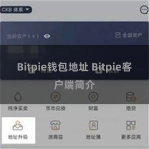Bitpie钱包地址 Bitpie客户端简介