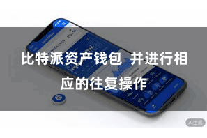 比特派资产钱包  并进行相应的往复操作