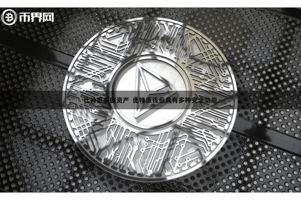 比特派多链资产  比特派钱包具有多种安全功能