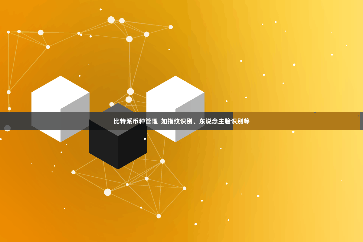 比特派币种管理  如指纹识别、东说念主脸识别等